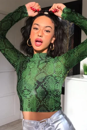 Casual Green Snake Print T Shirt Women Mesh Top Long Sleeve Transparent Snakeskin Female T-shirt High Neck Crop Tops