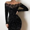 2025 New Spring Women's Fashion, Elegance, Leisure, Long sleeved Lace Edge, One Shoulder Silver Powder Sprinkled Dress 3