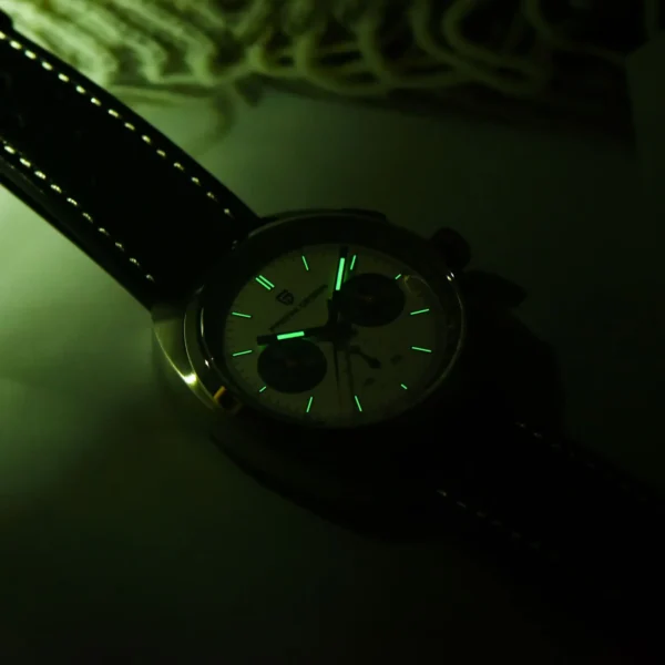 PAGANI DESIGN 2024 NEW Turtle Back Chronograph 1782 Watch for Man Luxury Men's Quartz Watch 5
