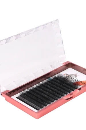 MARIA 4D W Shaped Beam Eyelash Extensions Patch Faux Russian Private Label Wholesale Clusters Easy Fan Volume Lashes Makeup 2