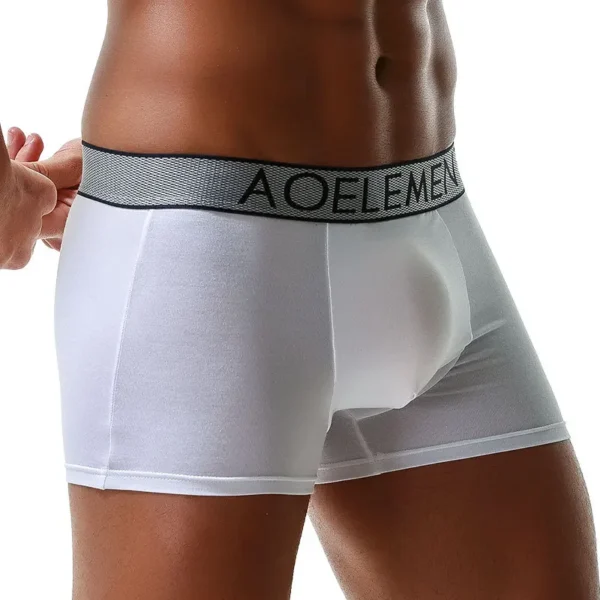 Sexy Men Underwear Modal Boxer Shorts Breathable Panties Man Bullet Separation Pouch Underpants Male Trunks Cueca Calzoncillo 6