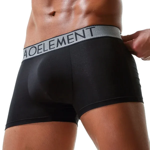 Sexy Men Underwear Modal Boxer Shorts Breathable Panties Man Bullet Separation Pouch Underpants Male Trunks Cueca Calzoncillo 2